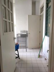 Serenity Park (D28), Condominium #624964851